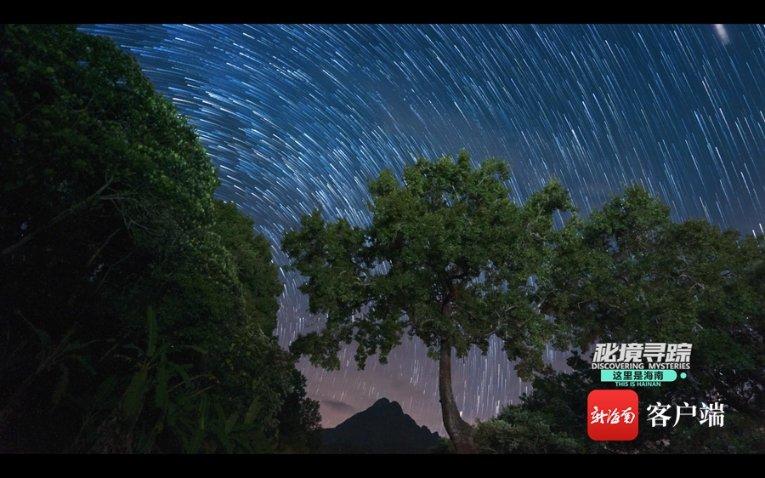 甜蜜糖果岛无敌版